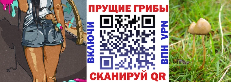 mega вход что такое Электроугли Псилоцибиновые грибы Magic Shrooms